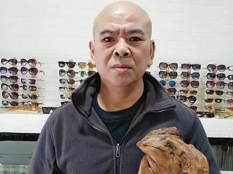 刀🐺的主播海报