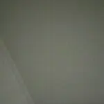 小七的跟班