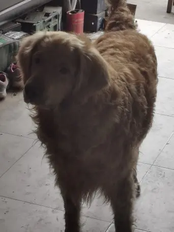 主播只为掏你口袋的图片