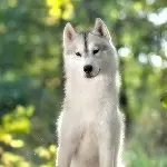 情深。。缘浅