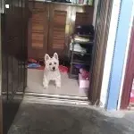《彩票哥》