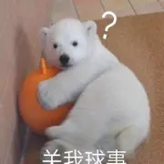 啥也不是～