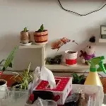 ♥╭侯爵团激情♥╭