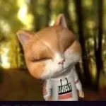 看~客