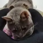 好好好！！！