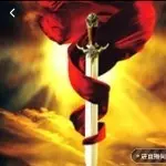 咏春拳头✨✨