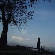 你爸爸..