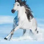 多幸运刚好遇见你