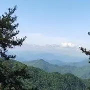 一条小鱼鱼