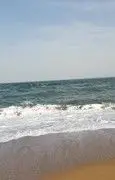 大浪就淘沙