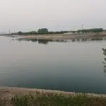 青鸟飞鱼🐟3