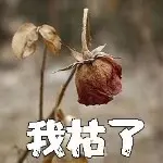 自●闭●中