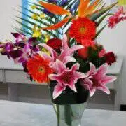 插花小鱼