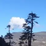★│悄悄的同学