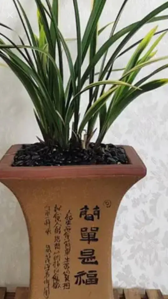 帝小爷，的主播照片