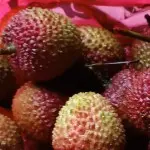 乡下人帅气