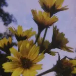 。易烊千玺。