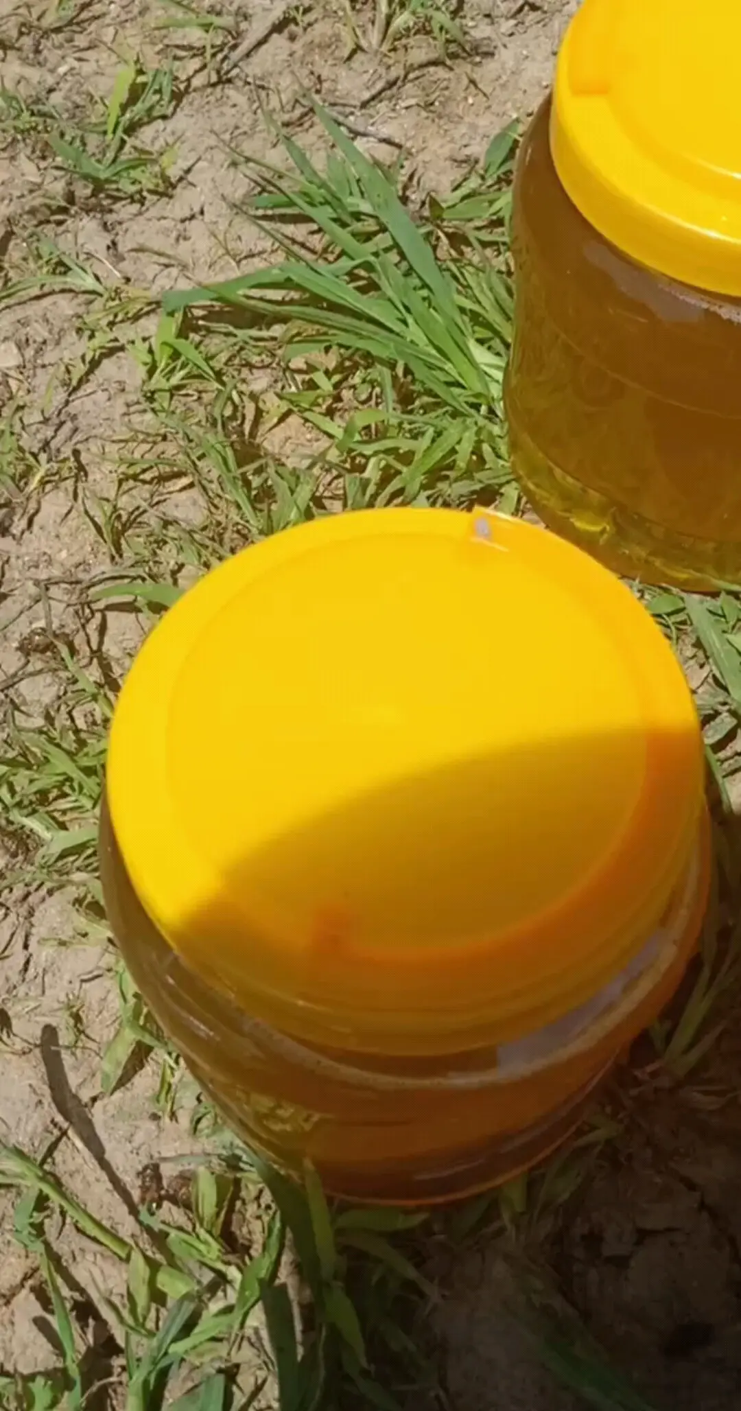 纯天然蜂蜜