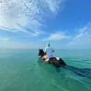 江湖人！