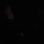 我的孤独有你来陪伴