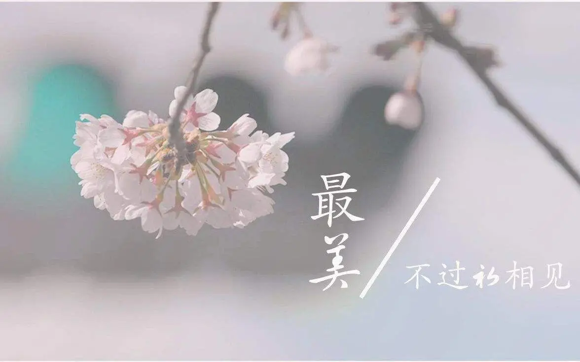 ♥最美不过初见♥的主播照片