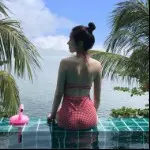 小桃酥毕业答辩暂休