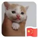 Lonelypawg