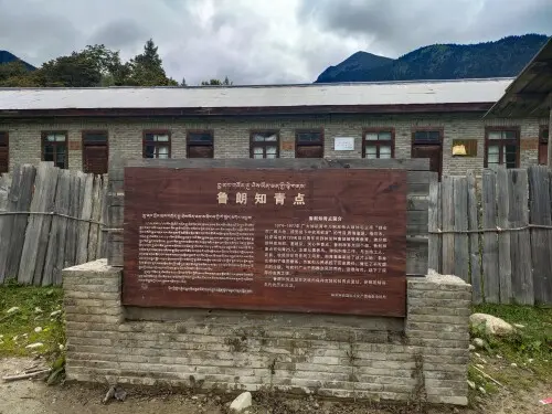 二娃在重庆找婆姨的图片