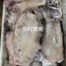 威武f9