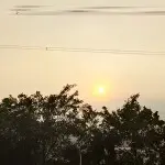 肥妞笑笑