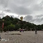 扇叶🐒