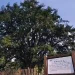抠老六