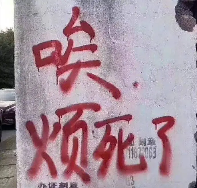 零零在学校隔离中😢的主播照片
