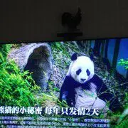 .低调再低调