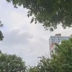 无，无无无