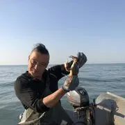 海陆空云飞舞