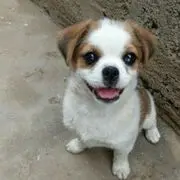 等待、一个人。