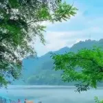 默默☘