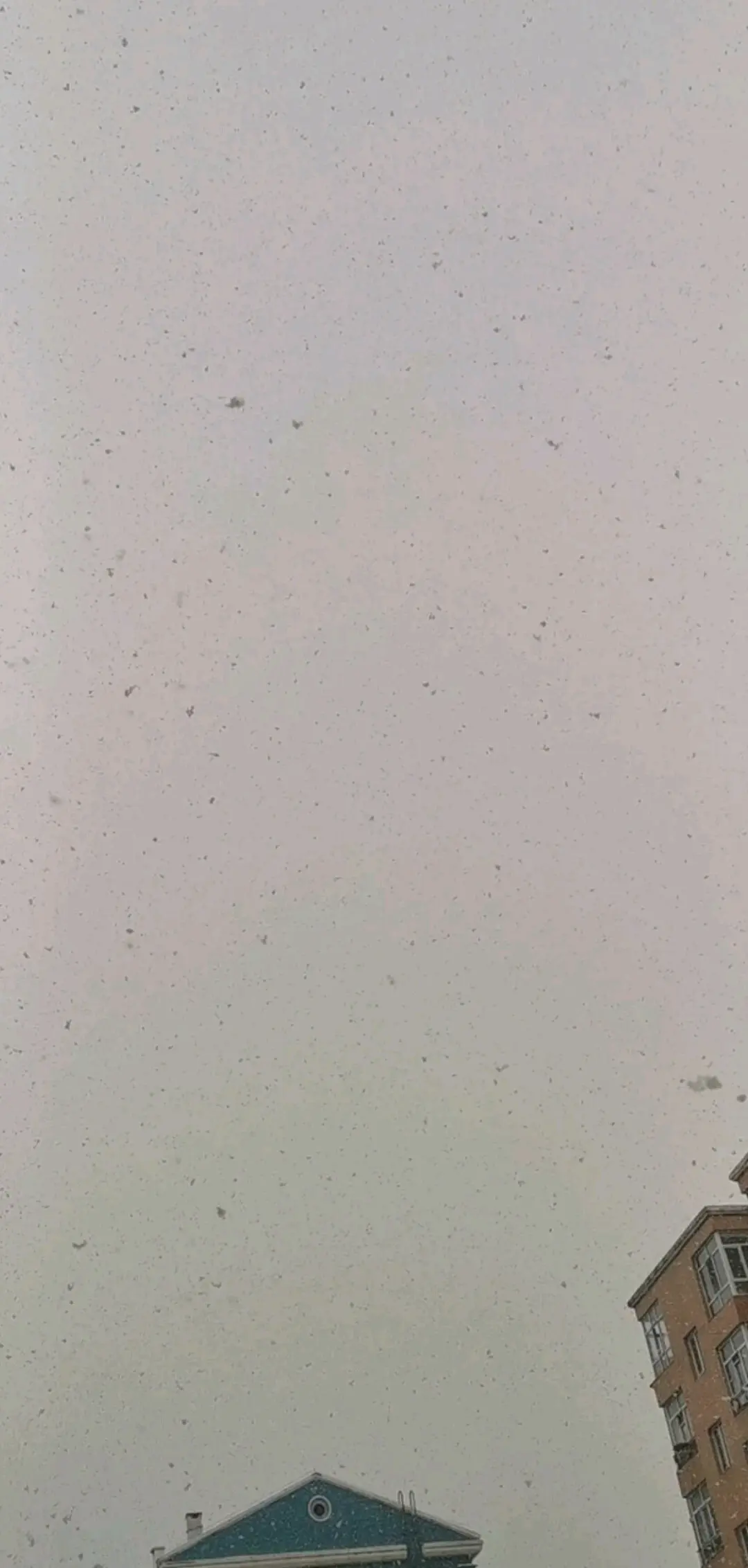 2020年的第一场雪