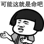 ！倔强的驴