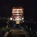 只粘花不惹草444