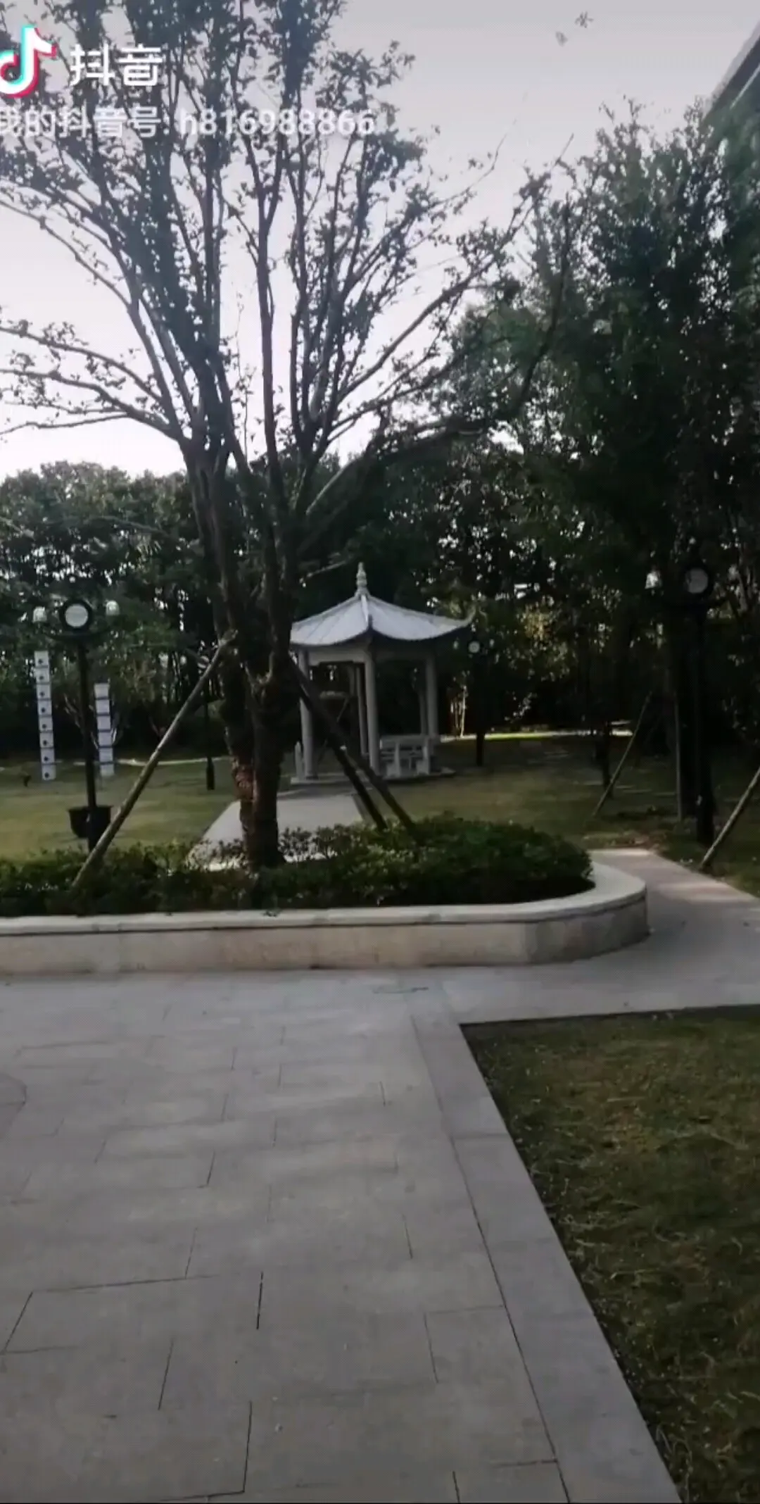 中远船务