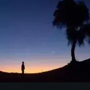 静默～～