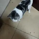 我的前有*