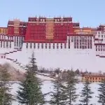 我是你的终极粉丝