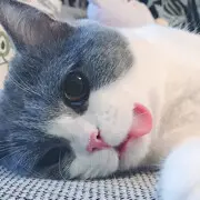 (花开)