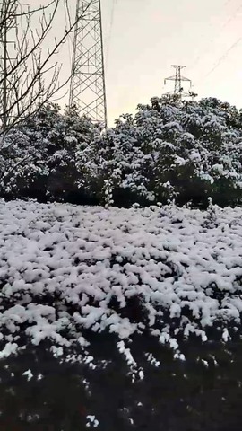 凑美没人爱的图片