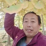 桃园帅哥的用户头像