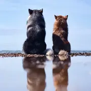 曲终：人散
