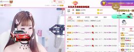 一只雁~的图片